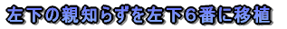 em炸̈ڐAƲĂR{