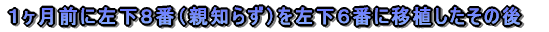 em炸̈ڐAƲĂR{
