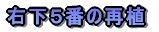 em炸̈ڐAƲĂR{