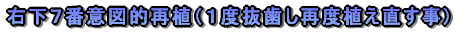 em炸̈ڐAƲĂR{